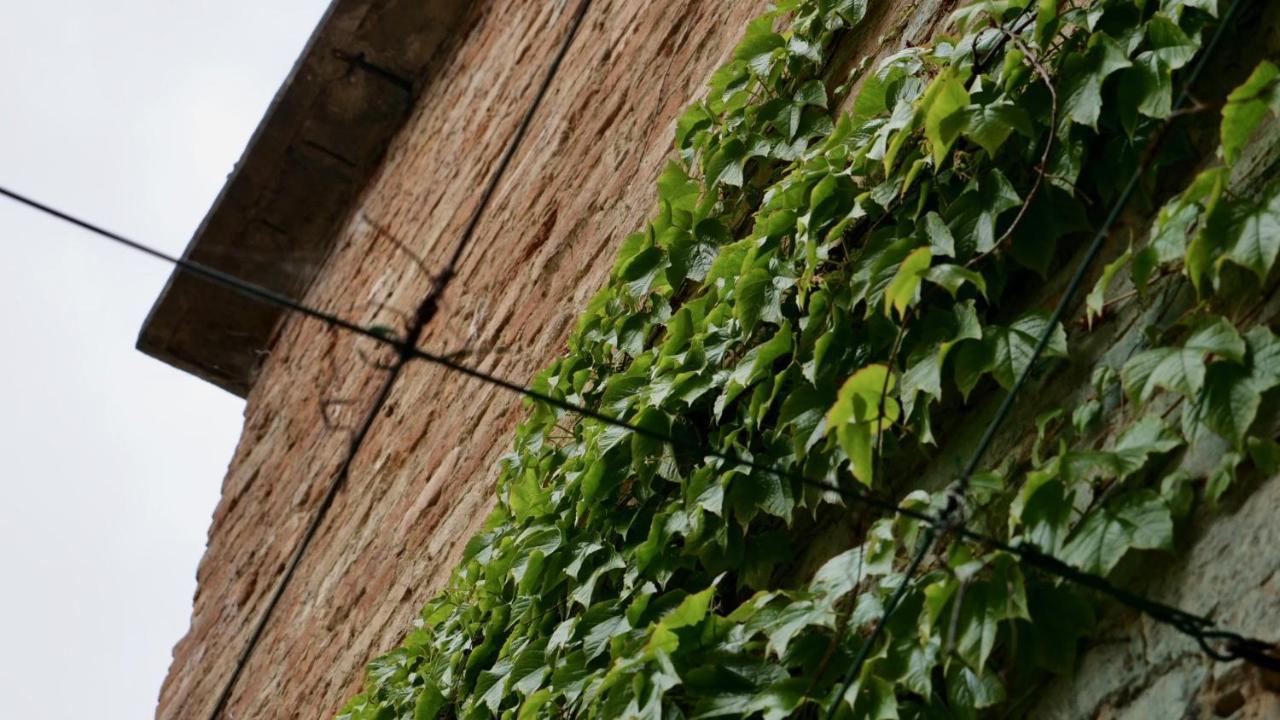 La Casa Di Giulia: Una Pausa In Collina Fubine ภายนอก รูปภาพ